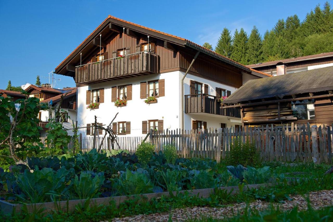 Ferienwohnungen Hoerburger Oberstaufen Esterno foto